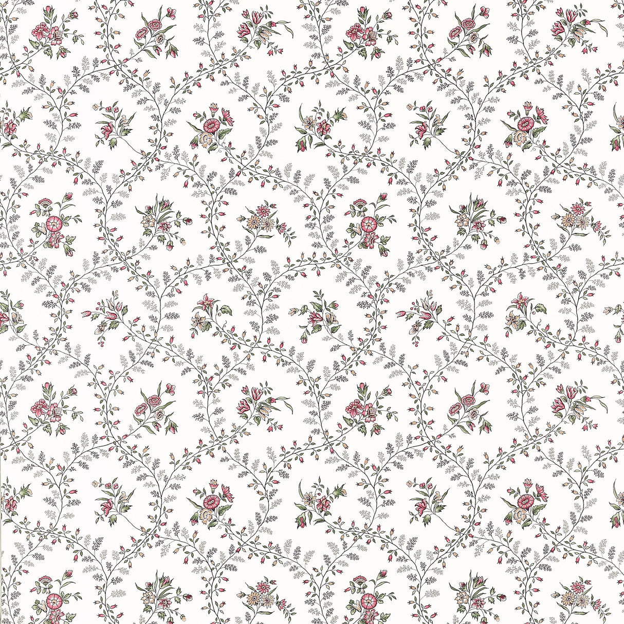 Anna French Juliette Trail Blush Wallpaper