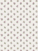 Scalamandre Summer Flora Wallcovering Sorbet Wallpaper