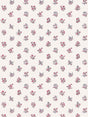 Scalamandre Summer Flora Wallcovering Pastel Peony Wallpaper