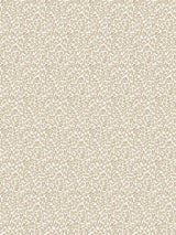Scalamandre Bandbox Wallcovering Hazelnut Wallpaper