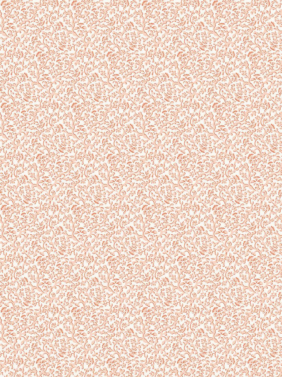 Scalamandre Bandbox Wallcovering Peach Wallpaper
