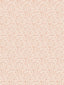 Scalamandre Bandbox Wallcovering Peach Wallpaper