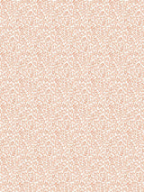 Scalamandre Bandbox Wallcovering Peach Wallpaper