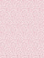 Scalamandre Bandbox Wallcovering Posey Wallpaper