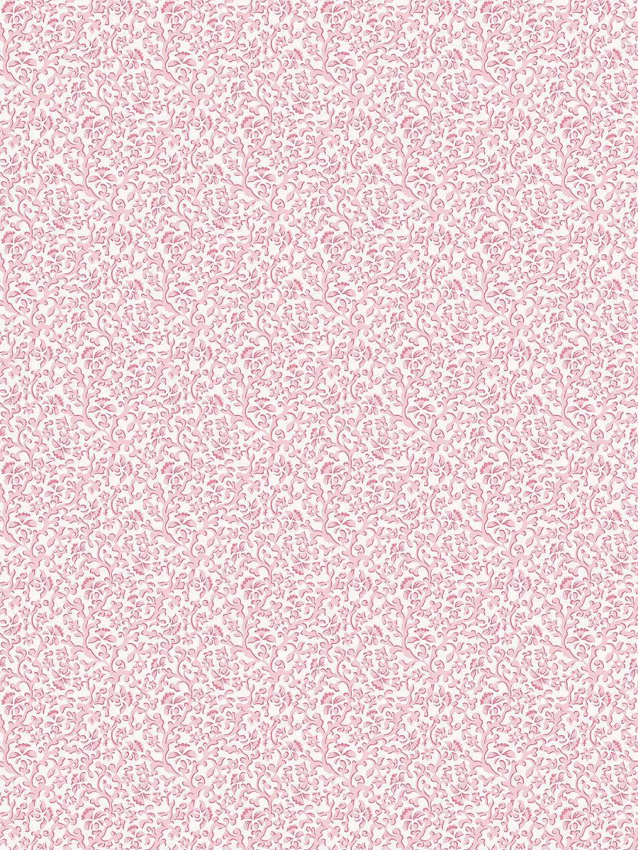 Scalamandre Bandbox Wallcovering Posey Wallpaper