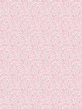 Scalamandre Bandbox Wallcovering Posey Wallpaper