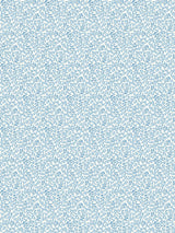 Scalamandre Bandbox Wallcovering Document Sky Wallpaper
