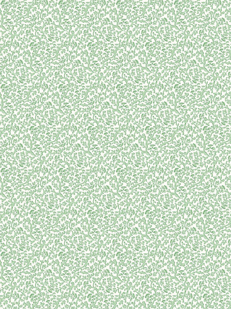Scalamandre Bandbox Wallcovering Meadow Wallpaper