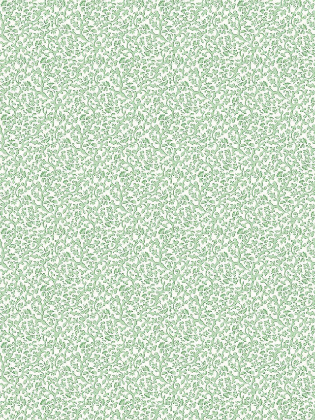 Scalamandre Bandbox Wallcovering Meadow Wallpaper
