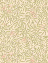 Scalamandre Honeysuckle Wallcovering Lime Peach Wallpaper