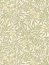 Scalamandre Honeysuckle Wallcovering Sage Wallpaper