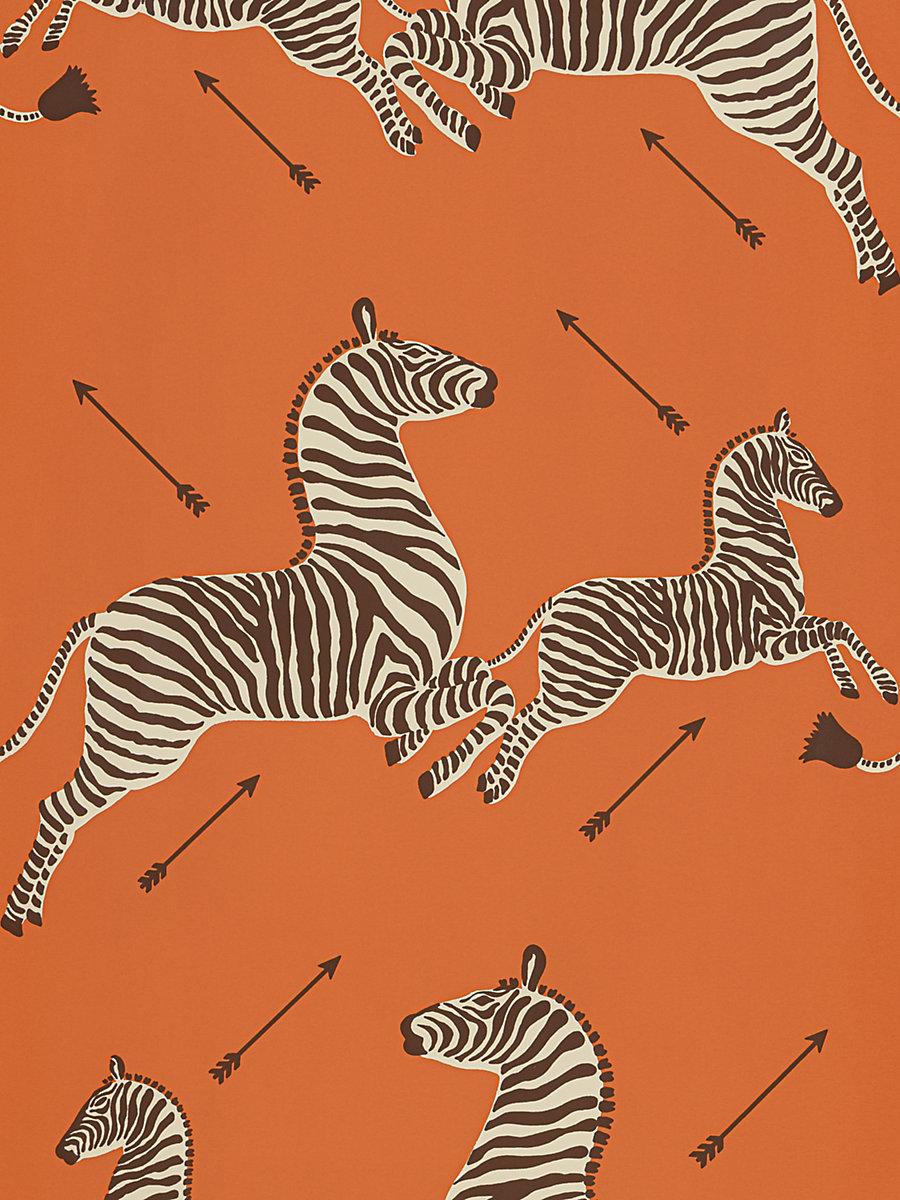 Scalamandre Zebras - Wallpaper - Trimmed Orange Wallpaper