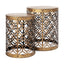 Mercana Rudebekia (Set of 2) 16L x 16W Gold Round Metal Accent Tables