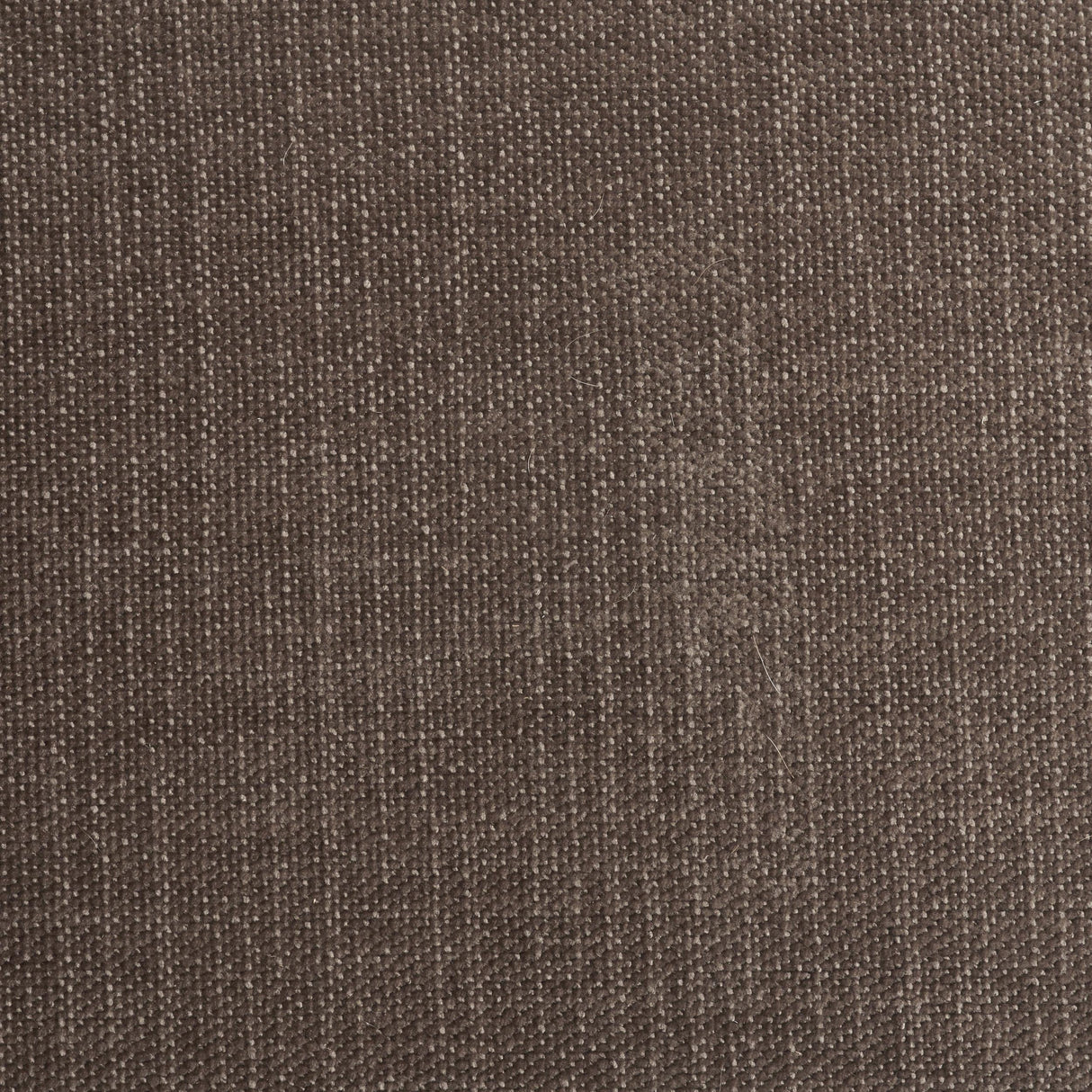 Mercana Niles Brown Fabric W/ Dark Brown Wooden Legs Wingback Dining Chair