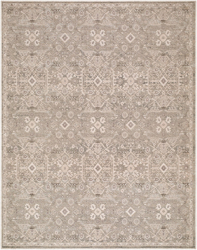 Livabliss Aston Villa ASV-2301 10' x 14' Machine Woven Rug
