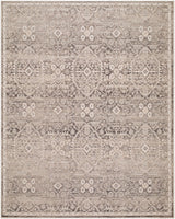 Livabliss Aston Villa ASV-2302 9' x 12' Machine Woven Rug