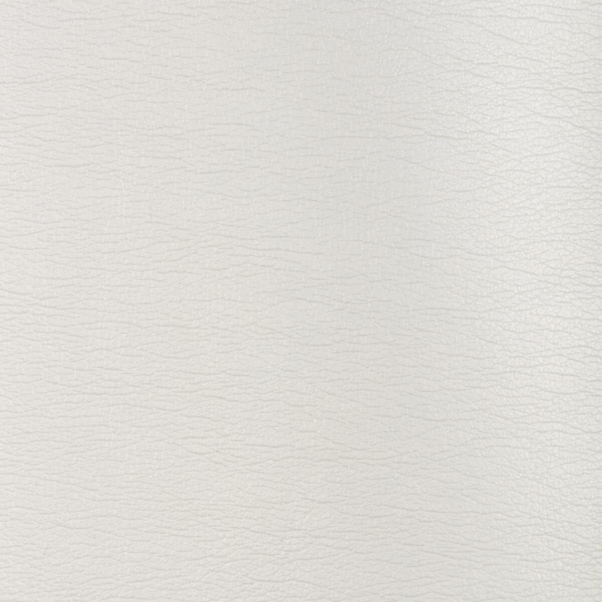 Kravet DESIGN GALLEON 1 Upholstery Fabric