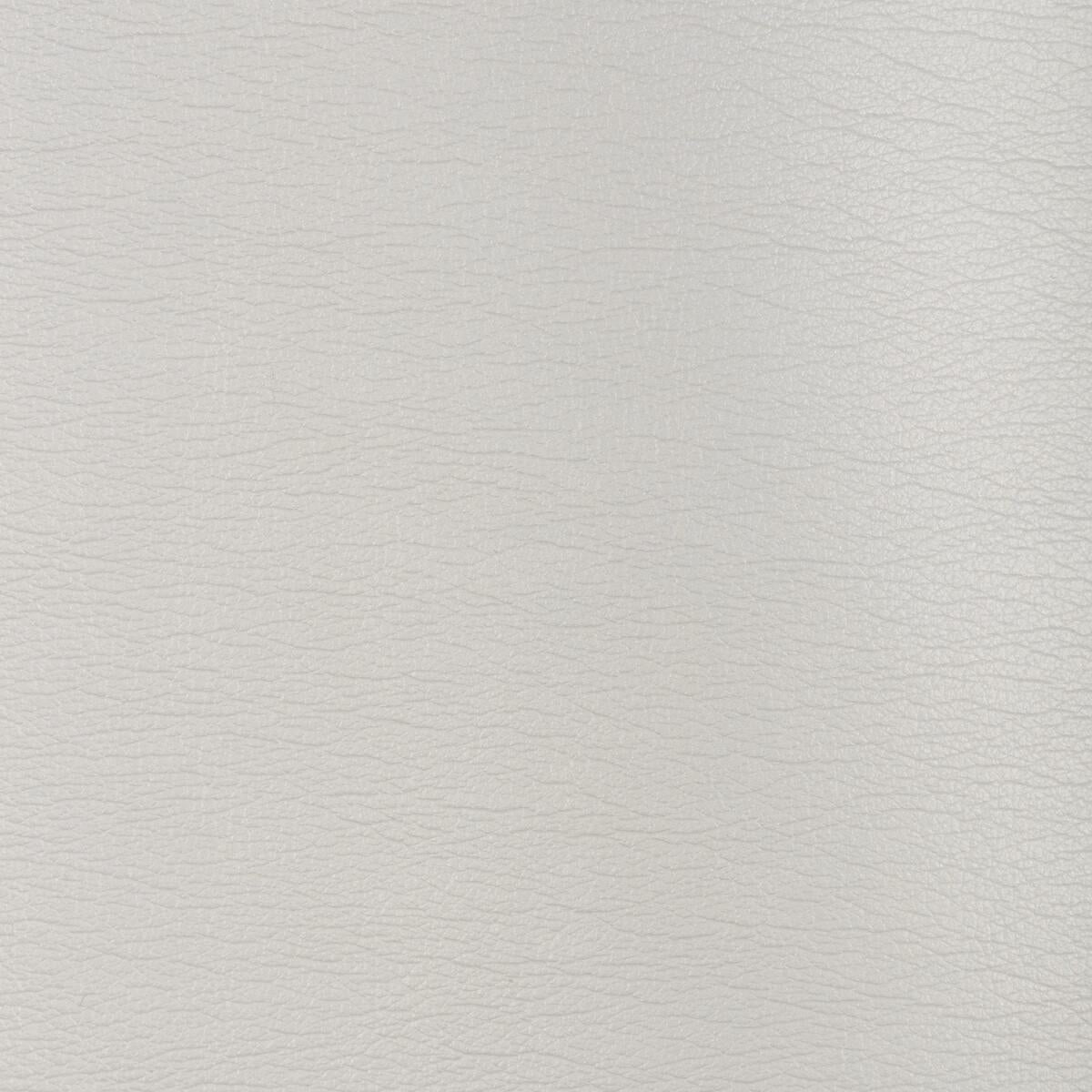 Kravet DESIGN GALLEON 1101 Upholstery Fabric