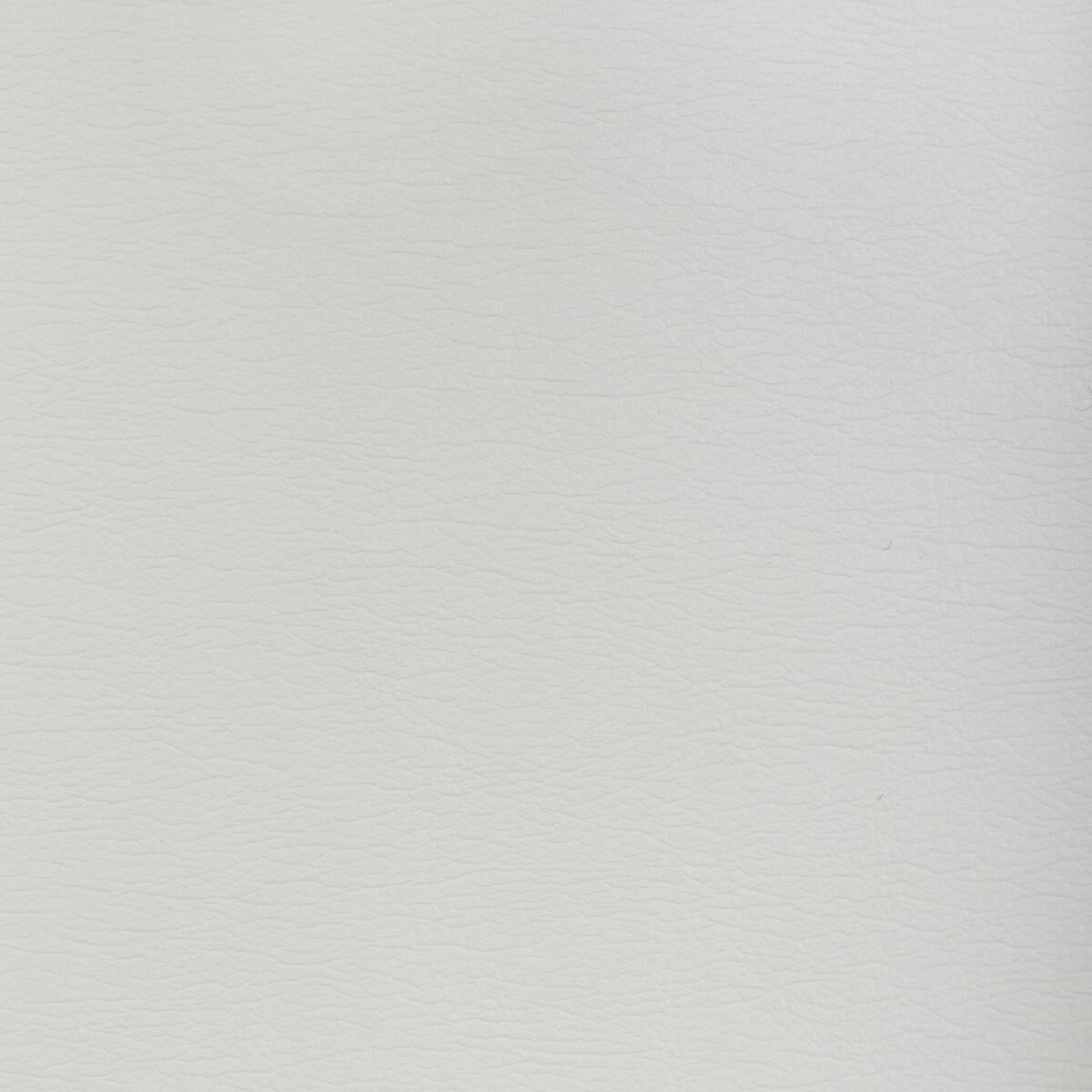 Kravet DESIGN GATO 1101 Upholstery Fabric