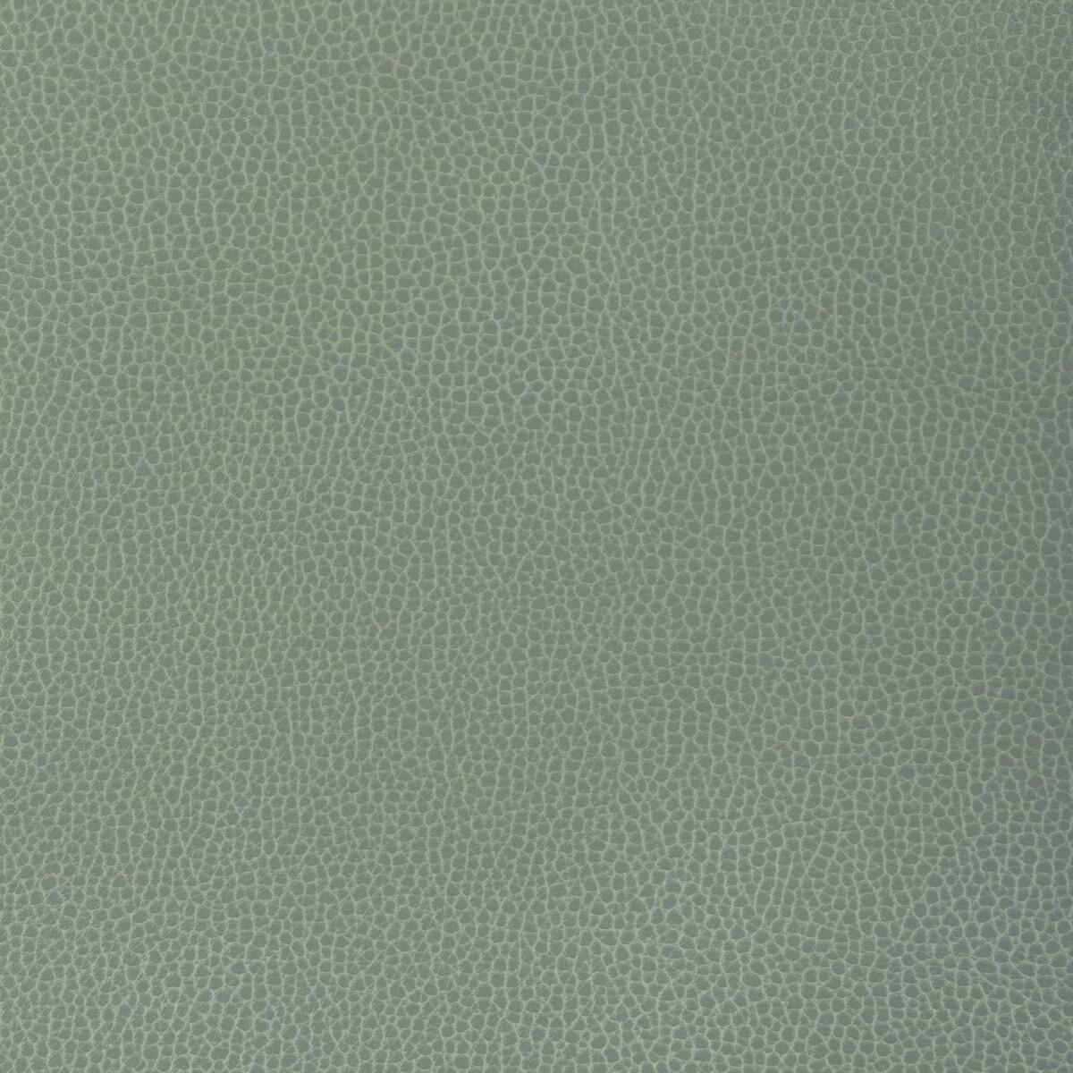 Kravet DESIGN GILLIAN 1313 Upholstery Fabric
