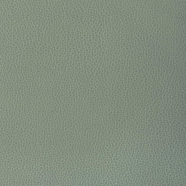 Kravet DESIGN GILLIAN 1313 Upholstery Fabric