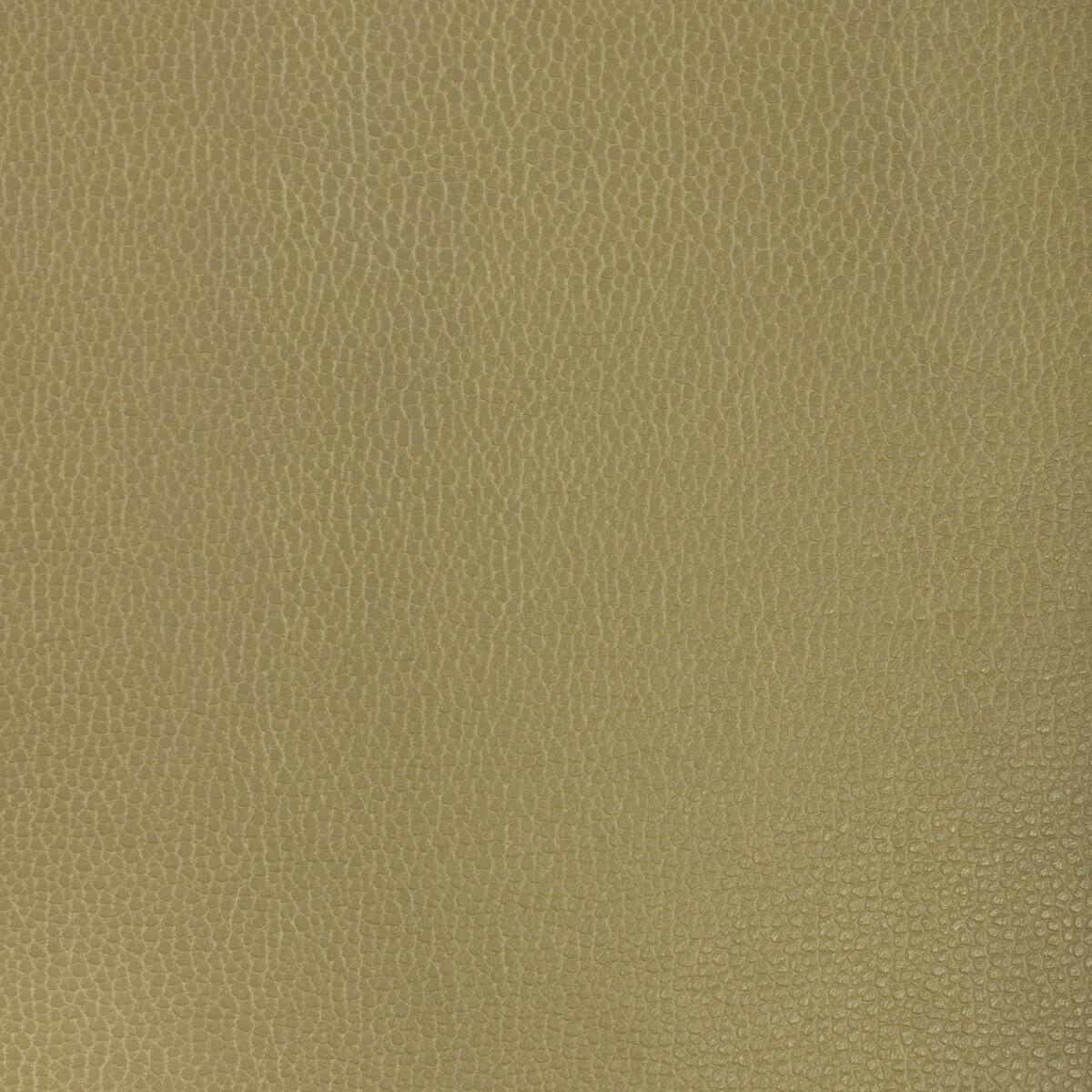 Kravet DESIGN GILLIAN 23 Upholstery Fabric