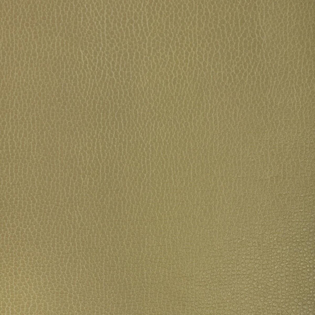 Kravet DESIGN GILLIAN 23 Upholstery Fabric
