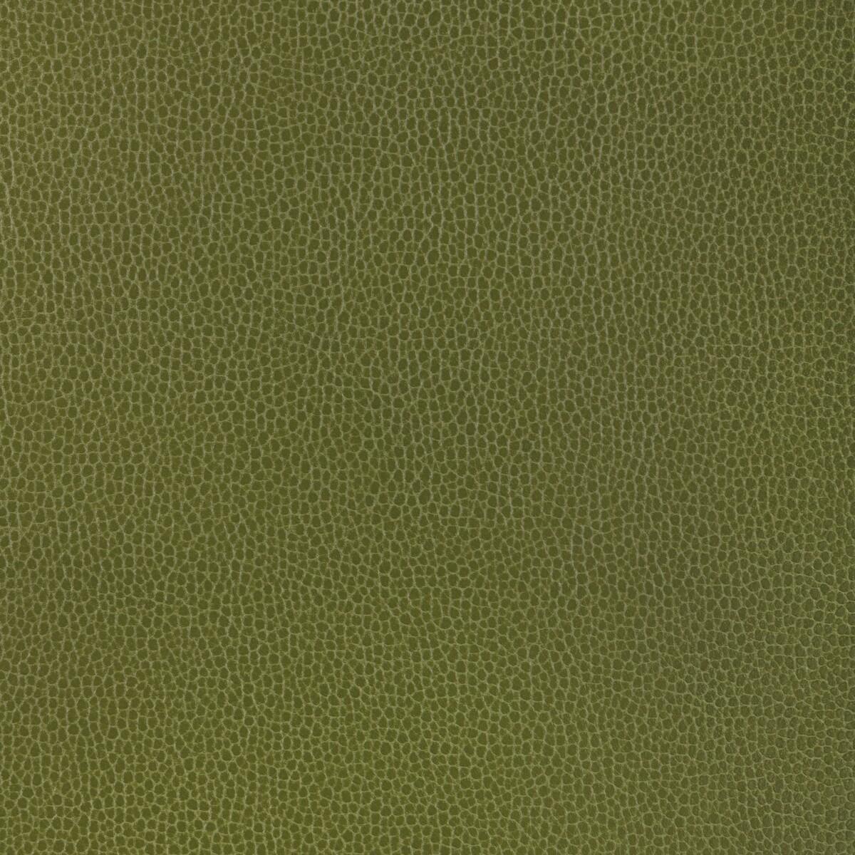 Kravet DESIGN GILLIAN 33 Upholstery Fabric