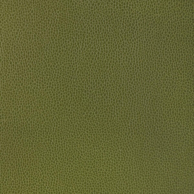 Kravet DESIGN GILLIAN 33 Upholstery Fabric