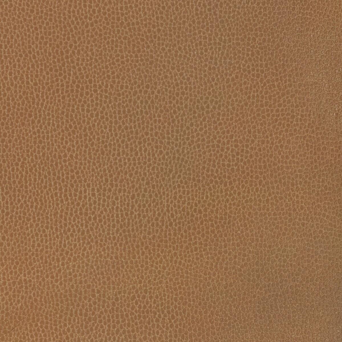 Kravet DESIGN GILLIAN 6116 Upholstery Fabric
