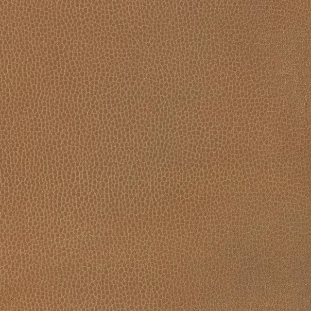 Kravet DESIGN GILLIAN 6116 Upholstery Fabric