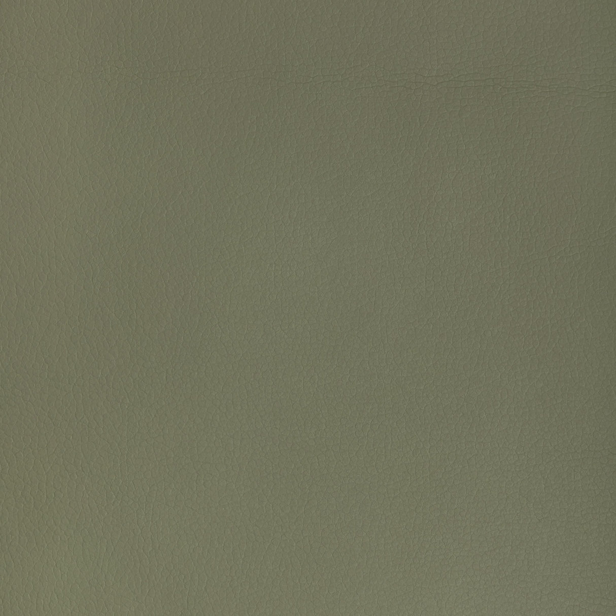 Kravet DESIGN MAJOR 30 Upholstery Fabric