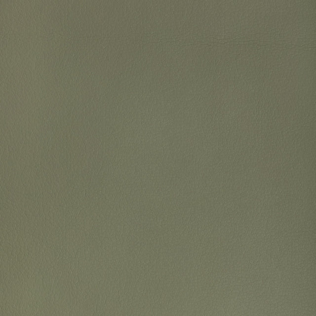 Kravet DESIGN MAJOR 30 Upholstery Fabric