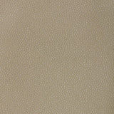 Kravet DESIGN PIETRA 121 Upholstery Fabric