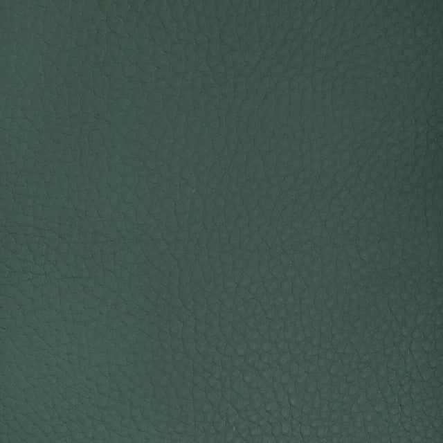 Kravet DESIGN SUGARMAPLE 3535 Upholstery Fabric