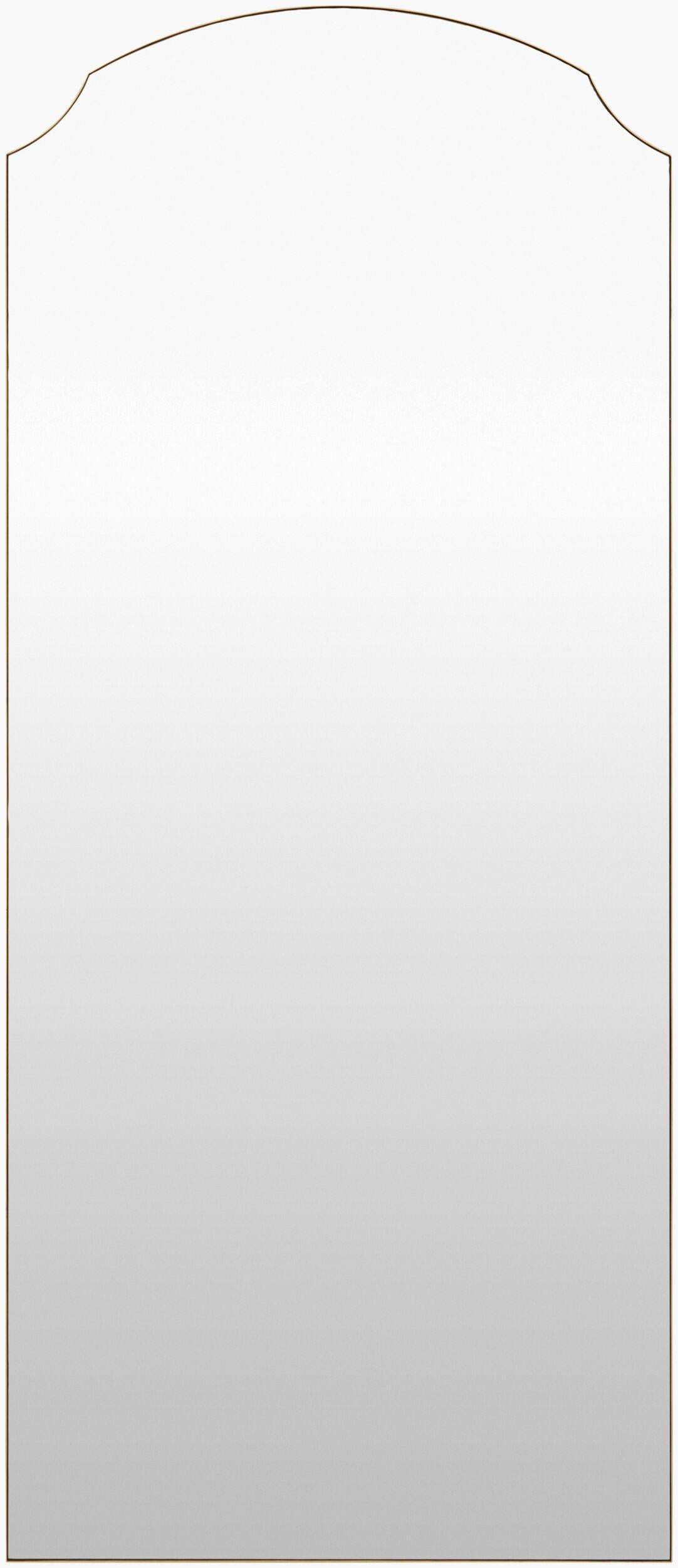Livabliss Landon GALA-1004 65"H x 22"W x 2"D Mirror