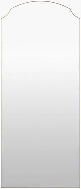 Livabliss Landon GALA-1004 65"H x 22"W x 2"D Mirror
