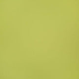 Pindler BELMONT SPROUT Fabric