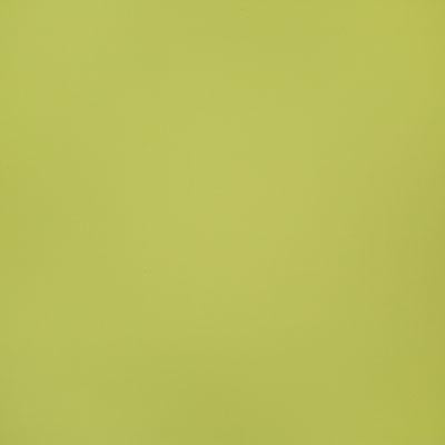 Pindler BELMONT SPROUT Fabric