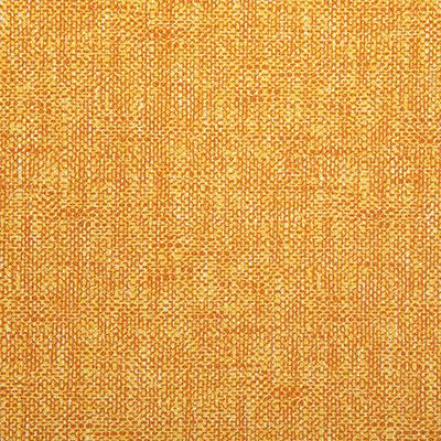 Pindler LENNOX SUNNY Fabric