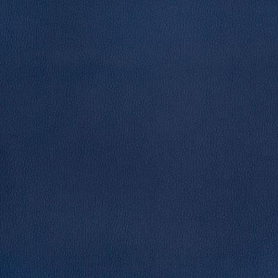 Pindler POWELL NAVY Fabric