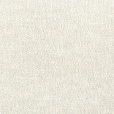 Pindler REGAN BEIGE Fabric