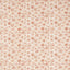 Clarke & Clarke CARA SPICE Fabric