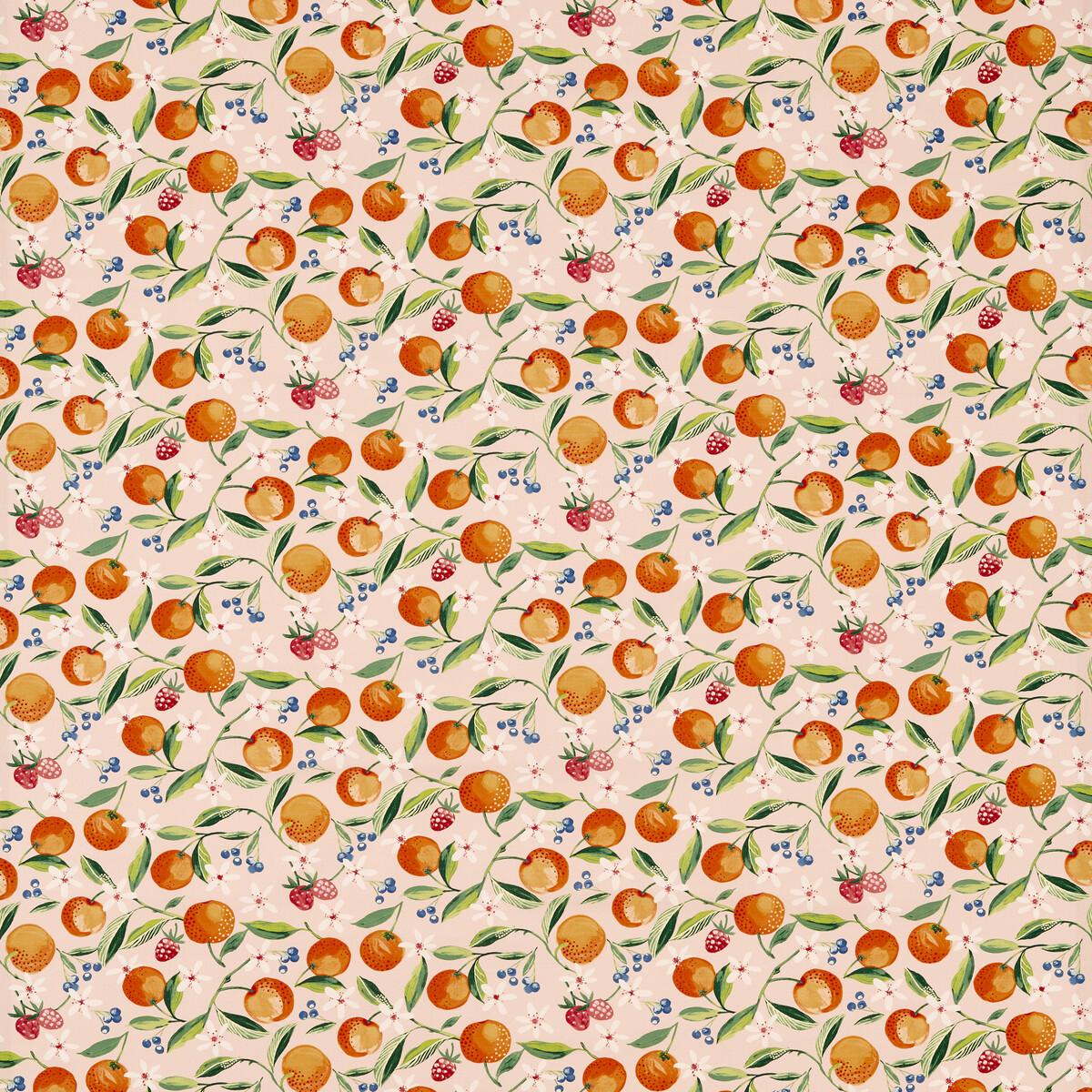 Clarke & Clarke ORANGE BLOSSOM BLUSH Fabric