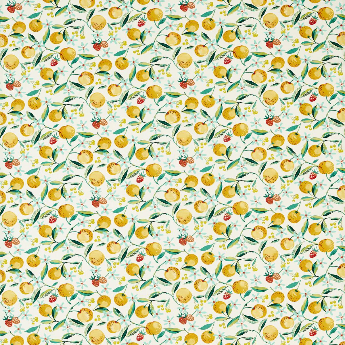 Clarke & Clarke ORANGE BLOSSOM CITRON Fabric
