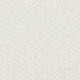 Clarke & Clarke ASTRAEA PARCHMENT Upholstery Fabric