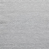 Clarke & Clarke CASTUS DOVE Upholstery Fabric