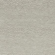 Clarke & Clarke CASTUS PEBBLE Upholstery Fabric