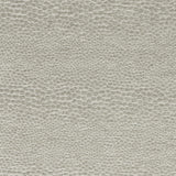 Clarke & Clarke CASTUS PEBBLE Upholstery Fabric