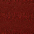 Clarke & Clarke CASTUS SPICE Upholstery Fabric